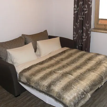 Alpenhit Saalbach-Hinterglemm