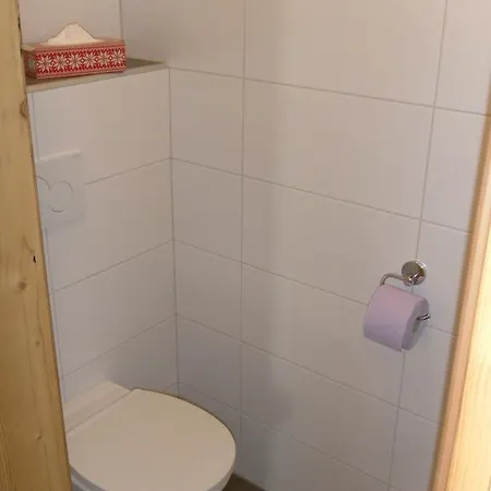 Alpenhit Saalbach-Hinterglemm