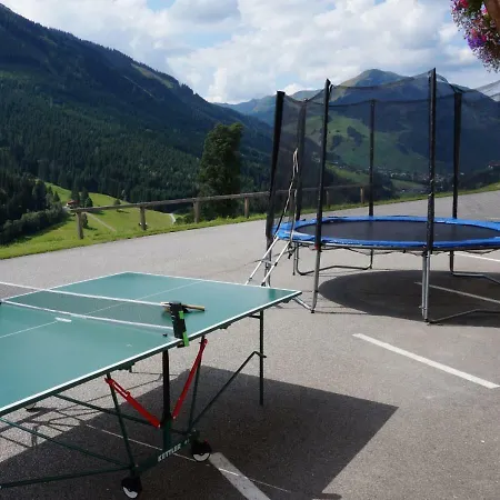 Alpenhit Saalbach-Hinterglemm