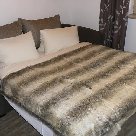 Alpenhit Saalbach-Hinterglemm